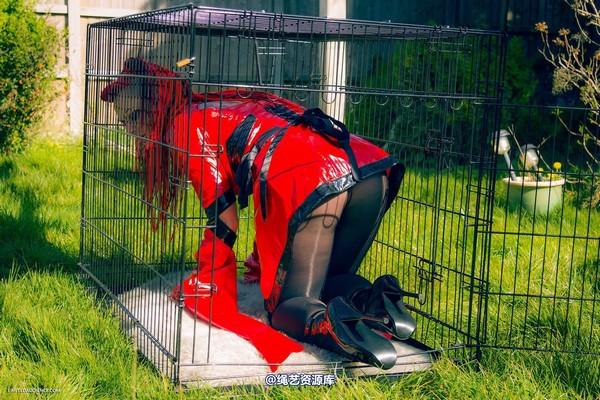 limitedaudience - 2015 raevan into the cage 第 4 张图片