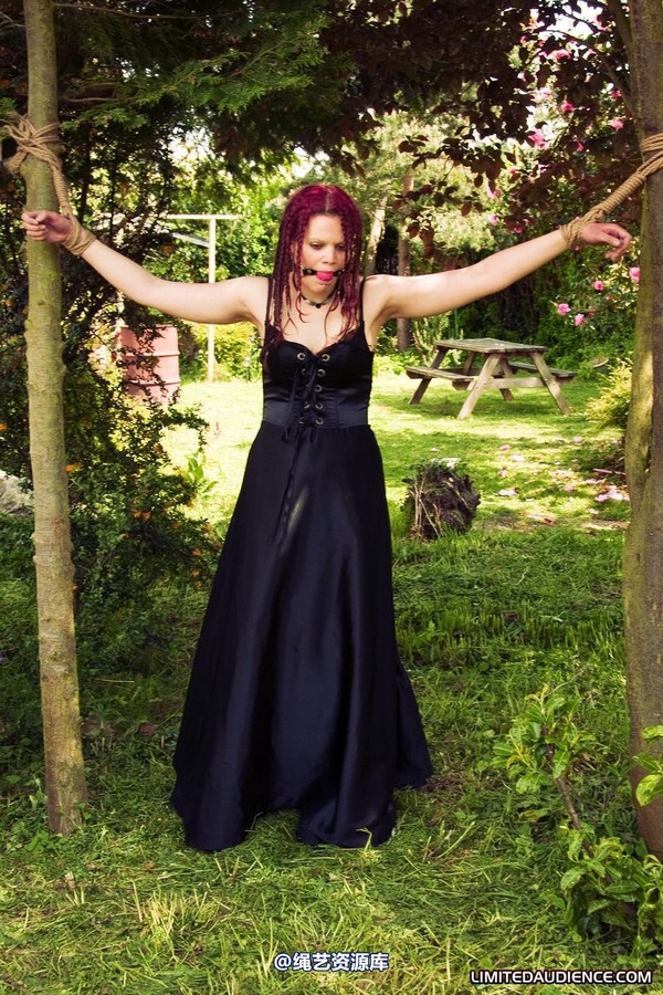 limitedaudience - 2010 beckykat between trees 第 12 张图片