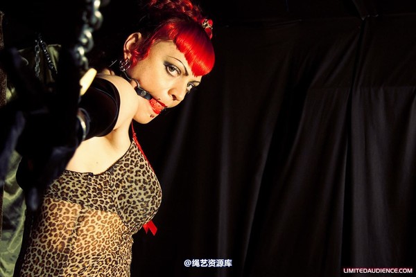 limitedaudience - 2010 raevan captured huntress 2 第 38 张图片