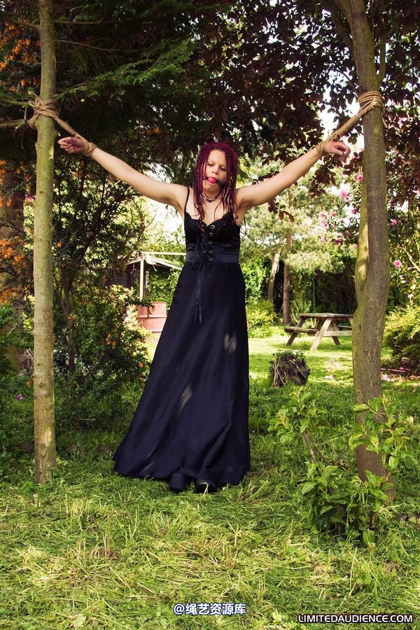 limitedaudience - 2010 beckykat between trees 第 34 张图片