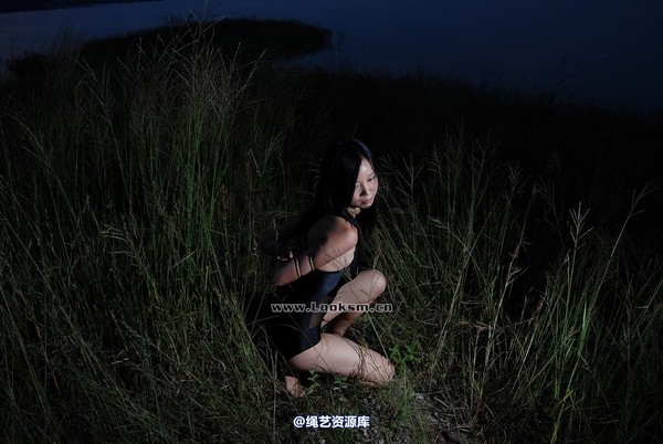 千丝万缕 - 2008-09-04日照片 第 63 张图片
