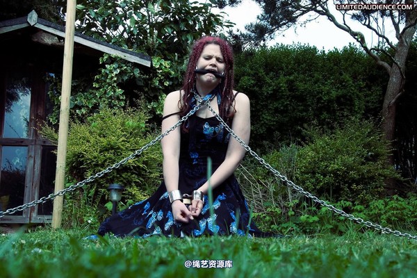 limitedaudience - 2010 beckykat chained and staked 第 11 张图片