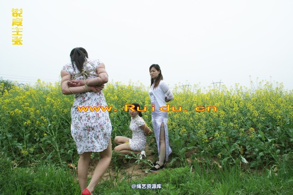 锐度主张 - 4月8日网友聚会室外篇1 第 25 张图片