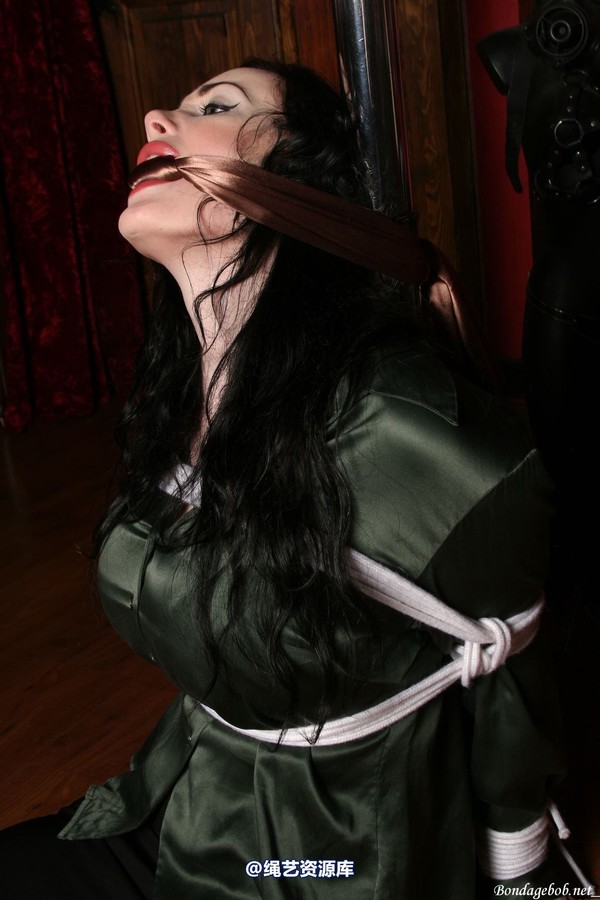 bondagebob - Morrigan Pole tied 第 98 张图片