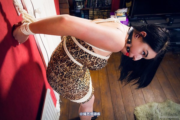 limitedaudience - 2014 stacey von strappado 第 14 张图片