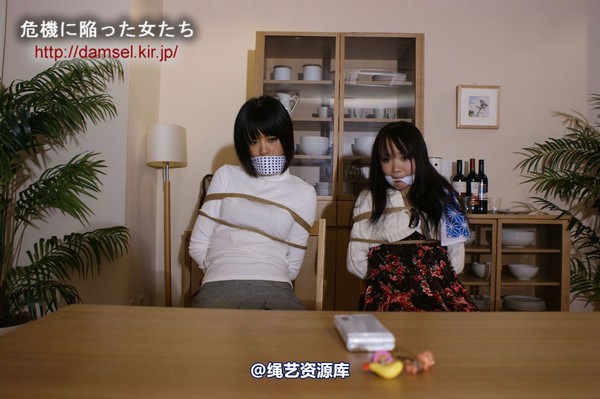 jpdamsel - 20120115 もし泥棒に�uわれたら 第 22 张图片
