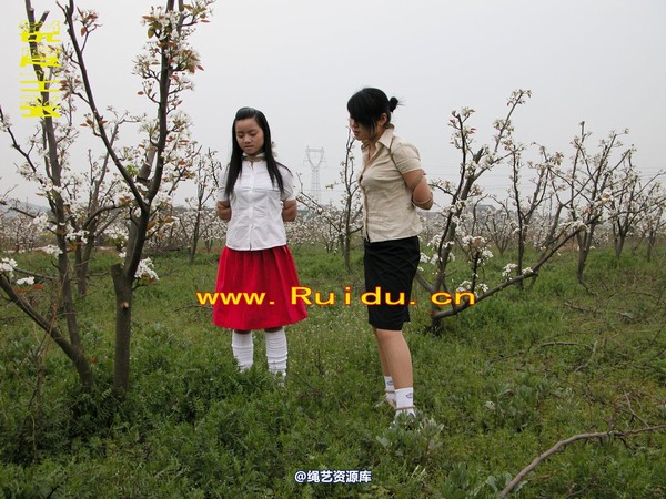 锐度主张 - 婷婷和寒冰梨花林中 第 83 张图片