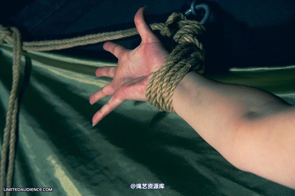 limitedaudience - 2010 deception bound tightly 2 第 14 张图片