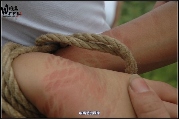 唯美之家 - 武当山之行-群绑 第 258 张图片