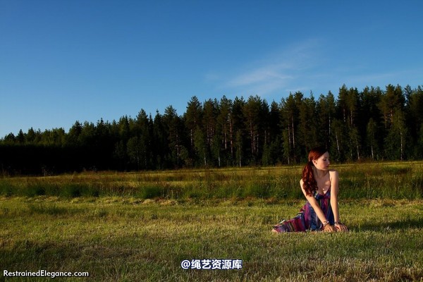restrainedelegance - Meadow Bound 第 26 张图片