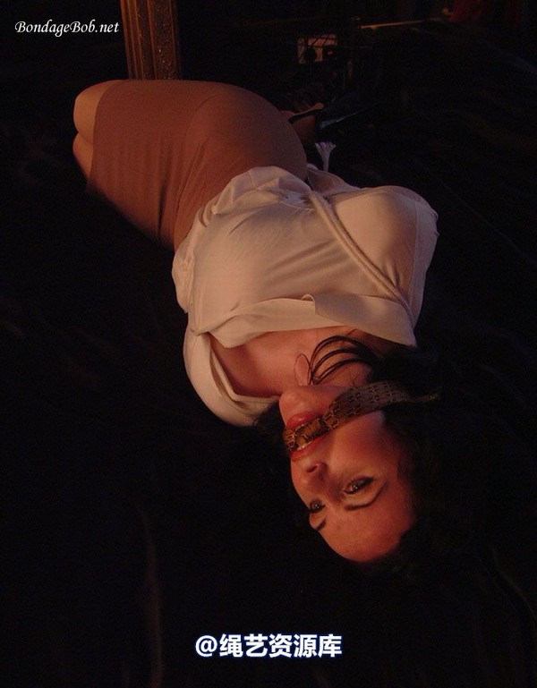 bondagebob - Morrigan From the shadow 第 40 张图片
