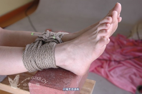 中华一晓 - 中华一晓 NO.0204 第 165 张图片