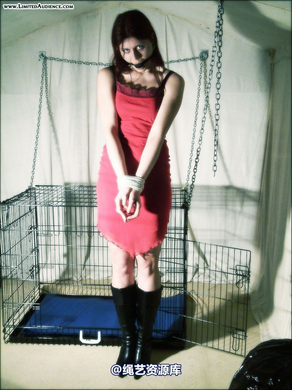 limitedaudience - 2007 scarlett tied and caged 第 4 张图片