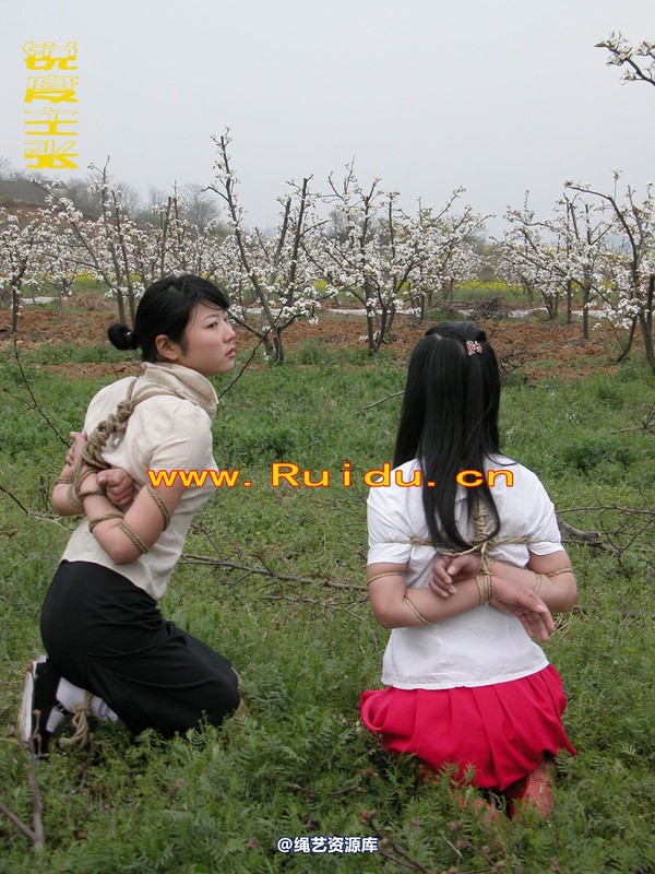 锐度主张 - 婷婷和寒冰梨花林中 第 52 张图片