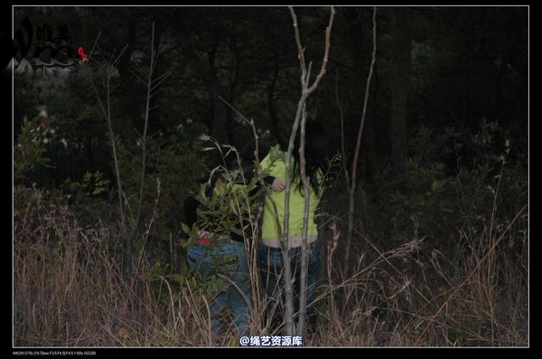 唯美之家 - 2008-11-27萧雅 第 195 张图片
