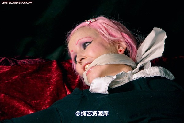limitedaudience - 2009 assisted suicide internet date 第 42 张图片