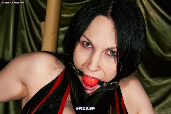 limitedaudience - 2012 elyssia bamboo contraption 2 第 2 张图片