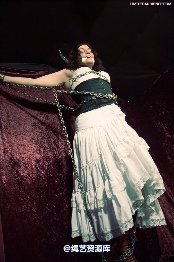 limitedaudience - 2008 veriddian chains on velvet 第 6 张图片