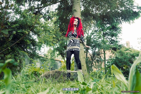limitedaudience - 2012 andromedax bound to a tree 第 29 张图片