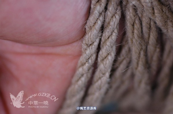 中华一晓 - 中华一晓 NO.0464 第 121 张图片