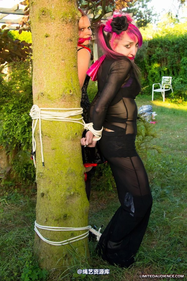 limitedaudience - 2011 beckykat loltaru moored to tree 第 19 张图片