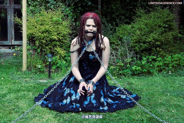 limitedaudience - 2010 beckykat chained and staked 第 36 张图片
