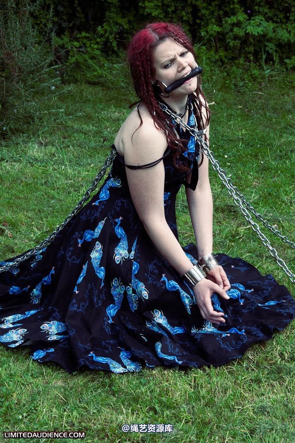 limitedaudience - 2011 beckykat chained and staked 2 第 1 张图片