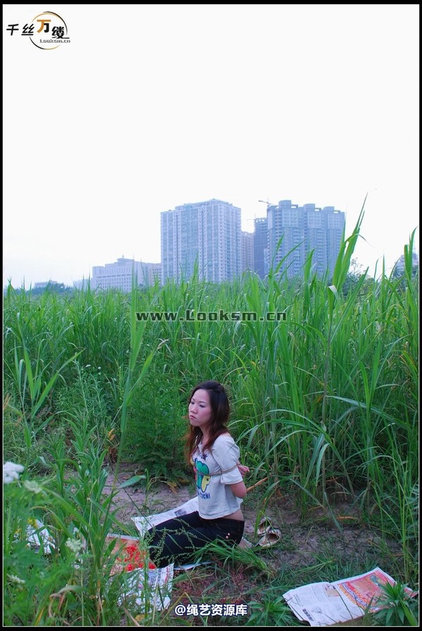 千丝万缕 - 2008-04-29-4日 第 40 张图片