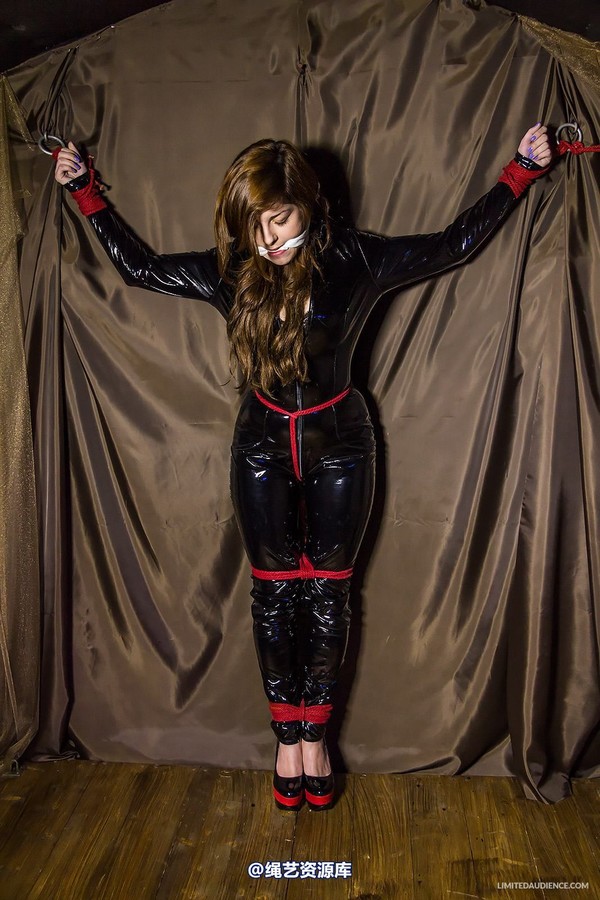 limitedaudience - 2014 trisha captured catburglar 第 35 张图片
