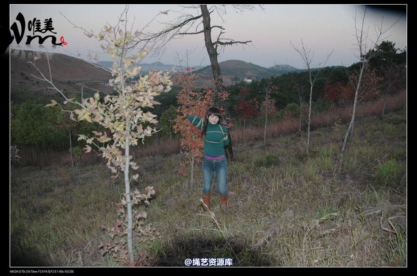唯美之家 - 2008-11-27萧雅 第 237 张图片