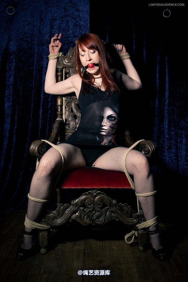 limitedaudience - 2012 syrah lee defiant captive 第 28 张图片