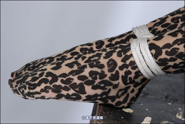 simplytied - Jinx in animal print 第 15 张图片