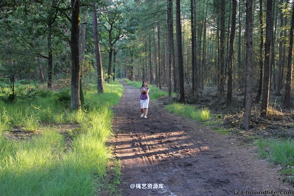 boundlife - bl247 第 5 张图片