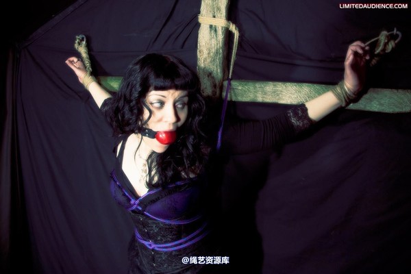 limitedaudience - 2009 veriddian hoissy 2 第 13 张图片