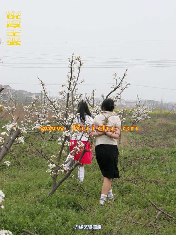 锐度主张 - 婷婷和寒冰梨花林中 第 22 张图片