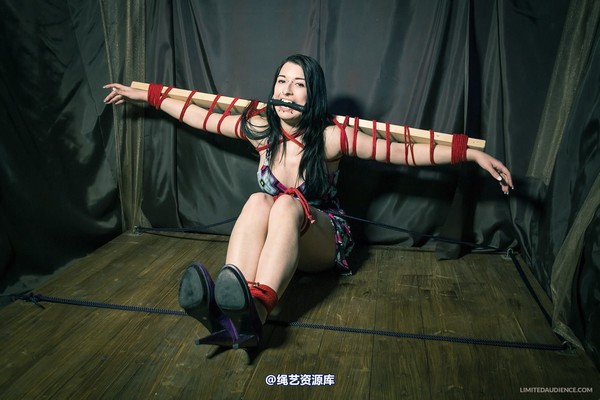 limitedaudience - 2013 stacey von time challenge 2 第 3 张图片