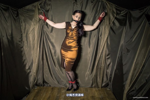 limitedaudience - 2014 caroline pierce bondage in bronze 第 27 张图片