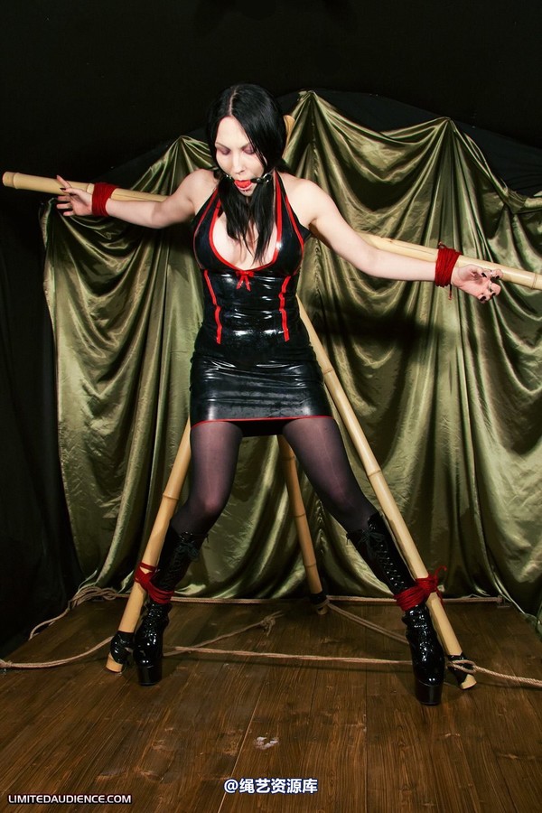limitedaudience - 2011 elyssia bamboo contraption 第 40 张图片