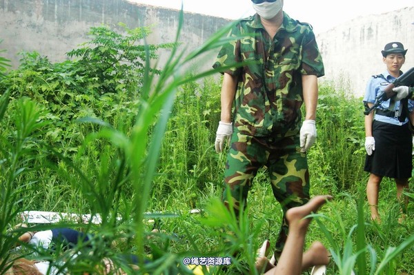 mj影视 - 血的代价执行刑场 第 178 张图片