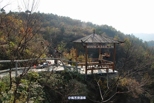 千丝万缕 - 20081109 第 5 张图片