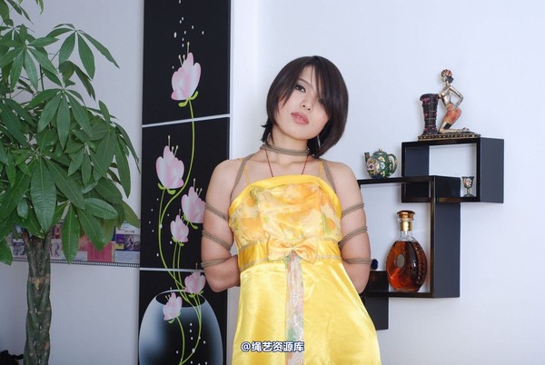 唯美之家 - 书兰-黄礼服 第 102 张图片