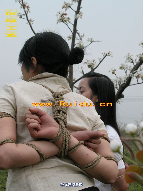 锐度主张 - 婷婷和寒冰梨花林中 第 71 张图片