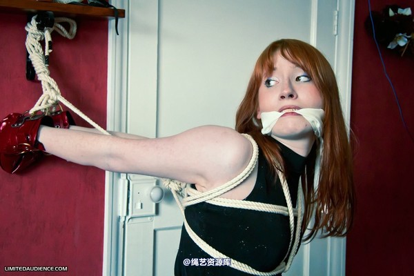 limitedaudience - 2011 syrah lee painful holding pattern 第 4 张图片