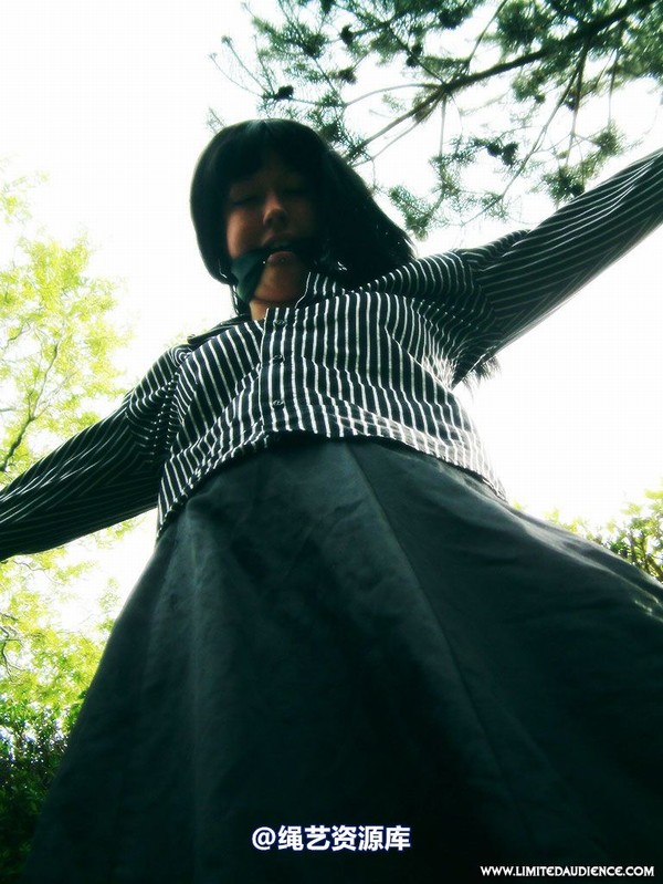 limitedaudience - 2007 nattsuko spread between trees 第 45 张图片