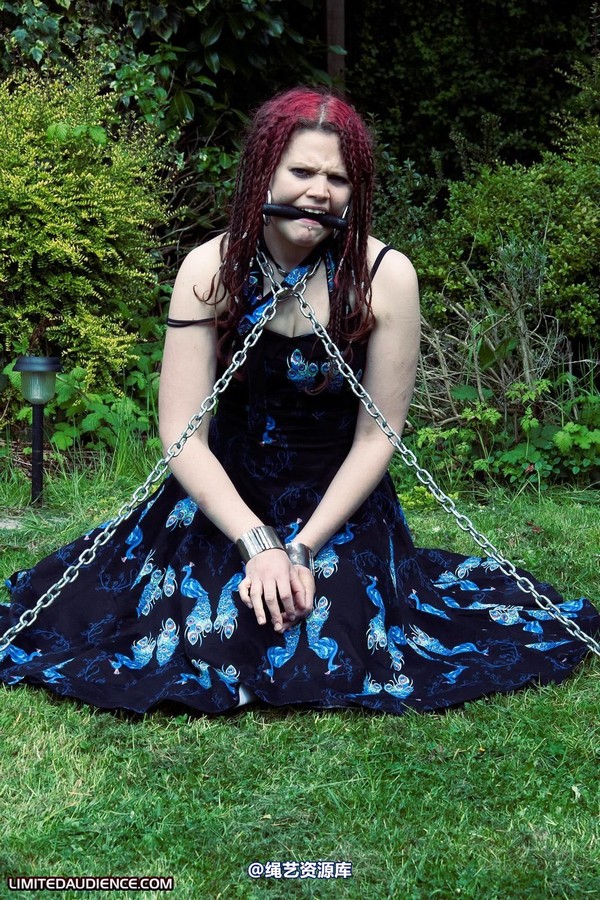 limitedaudience - 2010 beckykat chained and staked 第 4 张图片