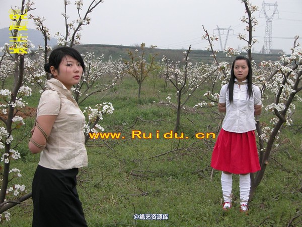 锐度主张 - 婷婷和寒冰梨花林中 第 21 张图片