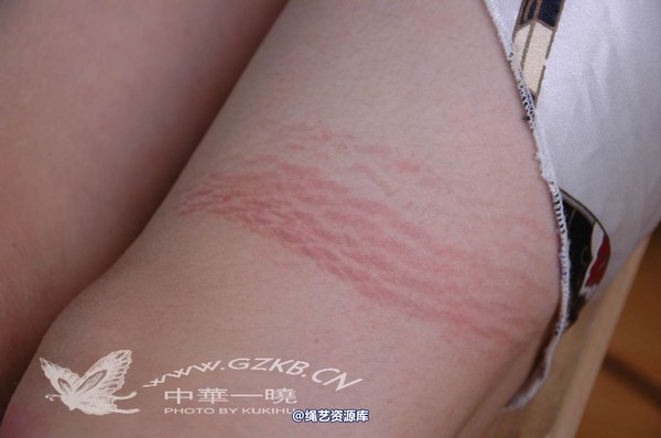 中华一晓 - 中华一晓 NO.0320 第 251 张图片