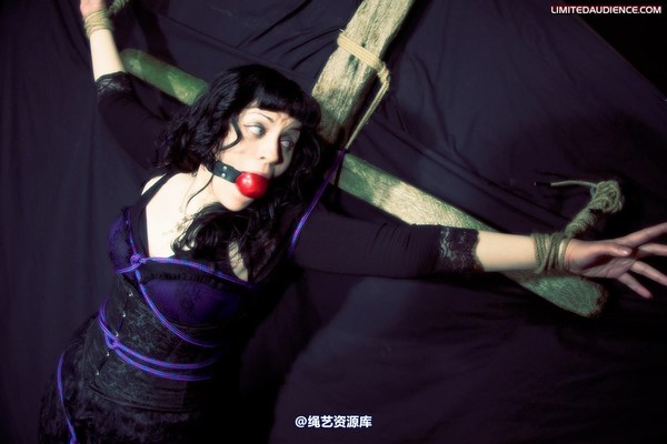 limitedaudience - 2009 veriddian hoissy 2 第 10 张图片
