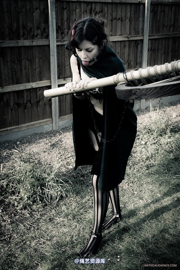 limitedaudience - 2012 dominick destruction escape and punishment 第 9 张图片