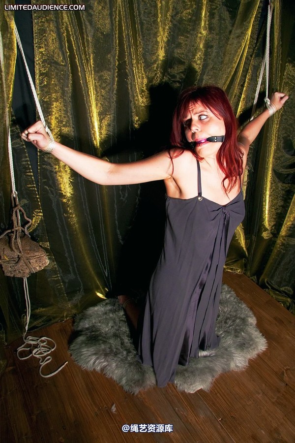 limitedaudience - 2010 scarlett pulled apart 2 第 11 张图片